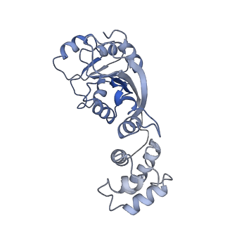 31655_7v2l_W_v1-1
T.thermophilus 30S ribosome with KsgA, class K1k2