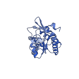 31656_7v2m_B_v1-1
T.thermophilus 30S ribosome with KsgA, class K1k4