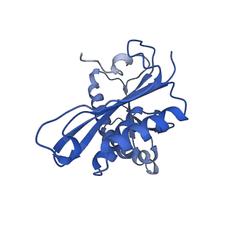 31656_7v2m_C_v1-1
T.thermophilus 30S ribosome with KsgA, class K1k4