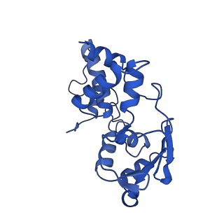 31656_7v2m_D_v1-1
T.thermophilus 30S ribosome with KsgA, class K1k4