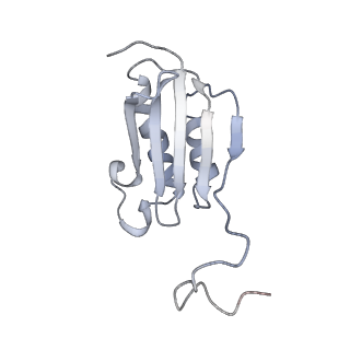 31656_7v2m_K_v1-1
T.thermophilus 30S ribosome with KsgA, class K1k4