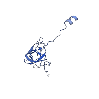 31656_7v2m_L_v1-1
T.thermophilus 30S ribosome with KsgA, class K1k4