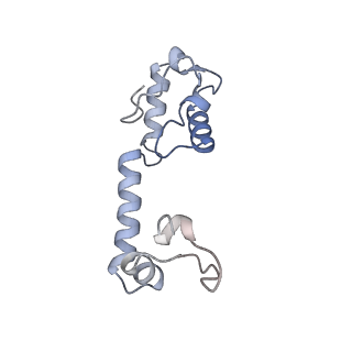 31656_7v2m_M_v1-1
T.thermophilus 30S ribosome with KsgA, class K1k4