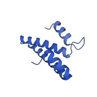31656_7v2m_O_v1-1
T.thermophilus 30S ribosome with KsgA, class K1k4