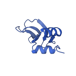 31656_7v2m_P_v1-1
T.thermophilus 30S ribosome with KsgA, class K1k4