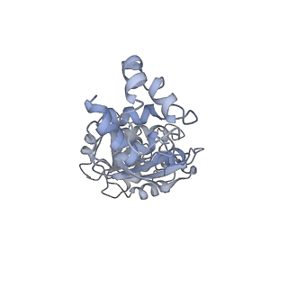 31656_7v2m_U_v1-1
T.thermophilus 30S ribosome with KsgA, class K1k4