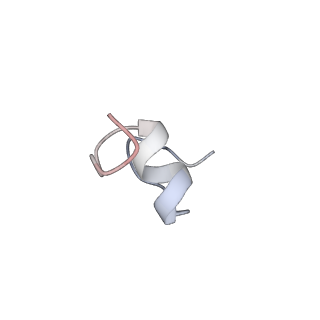 31656_7v2m_V_v1-1
T.thermophilus 30S ribosome with KsgA, class K1k4