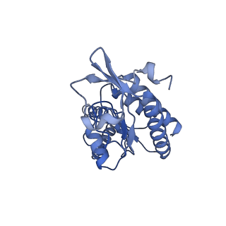 31657_7v2n_B_v1-1
T.thermophilus 30S ribosome with KsgA, class K2