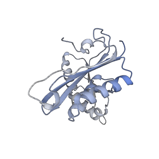 31657_7v2n_C_v1-1
T.thermophilus 30S ribosome with KsgA, class K2