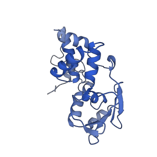 31657_7v2n_D_v1-1
T.thermophilus 30S ribosome with KsgA, class K2