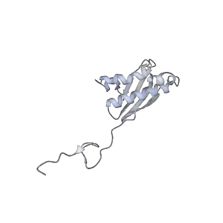 31657_7v2n_I_v1-1
T.thermophilus 30S ribosome with KsgA, class K2