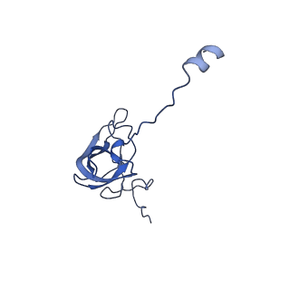31657_7v2n_L_v1-1
T.thermophilus 30S ribosome with KsgA, class K2