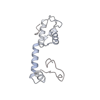 31657_7v2n_M_v1-1
T.thermophilus 30S ribosome with KsgA, class K2