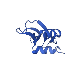 31657_7v2n_P_v1-1
T.thermophilus 30S ribosome with KsgA, class K2