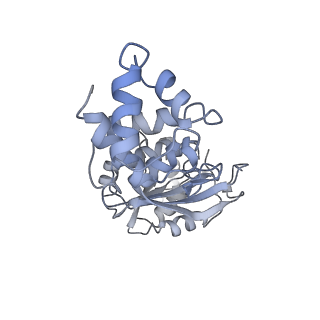 31657_7v2n_U_v1-1
T.thermophilus 30S ribosome with KsgA, class K2