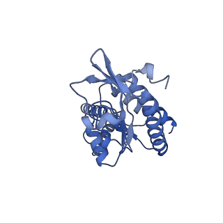 31658_7v2o_B_v1-1
T.thermophilus 30S ribosome with KsgA, class K4