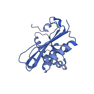 31658_7v2o_C_v1-1
T.thermophilus 30S ribosome with KsgA, class K4