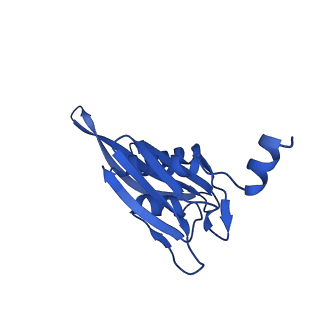 31658_7v2o_E_v1-1
T.thermophilus 30S ribosome with KsgA, class K4