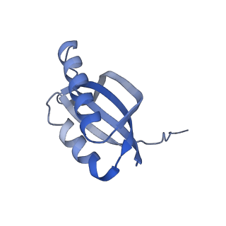 31658_7v2o_F_v1-1
T.thermophilus 30S ribosome with KsgA, class K4