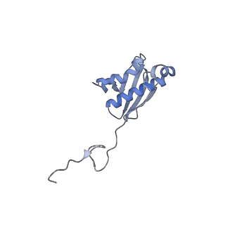 31658_7v2o_I_v1-1
T.thermophilus 30S ribosome with KsgA, class K4