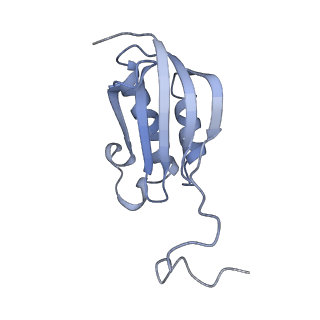 31658_7v2o_K_v1-1
T.thermophilus 30S ribosome with KsgA, class K4