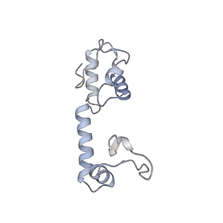 31658_7v2o_M_v1-1
T.thermophilus 30S ribosome with KsgA, class K4