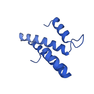 31658_7v2o_O_v1-1
T.thermophilus 30S ribosome with KsgA, class K4