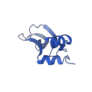 31658_7v2o_P_v1-1
T.thermophilus 30S ribosome with KsgA, class K4