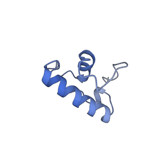 31658_7v2o_R_v1-1
T.thermophilus 30S ribosome with KsgA, class K4