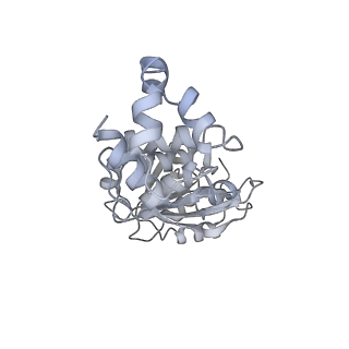 31658_7v2o_U_v1-1
T.thermophilus 30S ribosome with KsgA, class K4