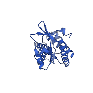 31659_7v2p_B_v1-1
T.thermophilus 30S ribosome with KsgA, class K5
