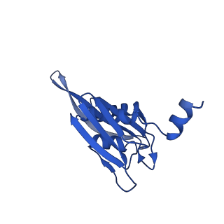 31659_7v2p_E_v1-1
T.thermophilus 30S ribosome with KsgA, class K5