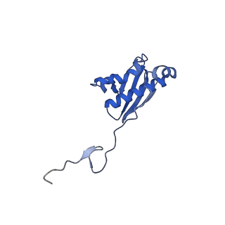 31659_7v2p_I_v1-1
T.thermophilus 30S ribosome with KsgA, class K5