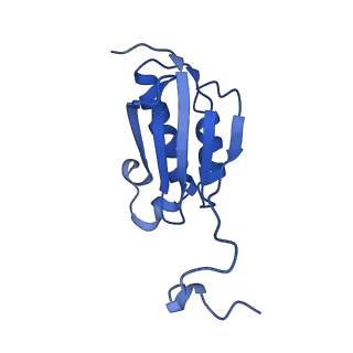 31659_7v2p_K_v1-1
T.thermophilus 30S ribosome with KsgA, class K5