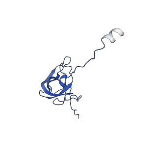 31659_7v2p_L_v1-1
T.thermophilus 30S ribosome with KsgA, class K5