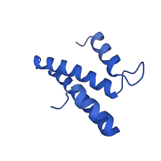 31659_7v2p_O_v1-1
T.thermophilus 30S ribosome with KsgA, class K5