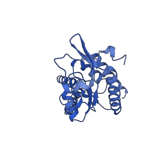 31660_7v2q_B_v1-1
T.thermophilus 30S ribosome with KsgA, class K6