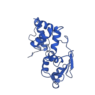 31660_7v2q_D_v1-1
T.thermophilus 30S ribosome with KsgA, class K6