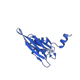 31660_7v2q_E_v1-1
T.thermophilus 30S ribosome with KsgA, class K6