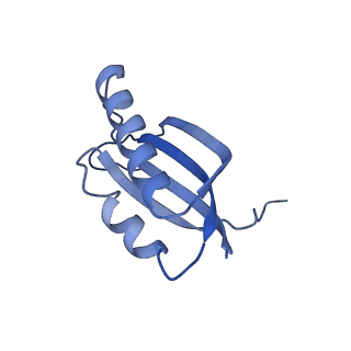 31660_7v2q_F_v1-1
T.thermophilus 30S ribosome with KsgA, class K6