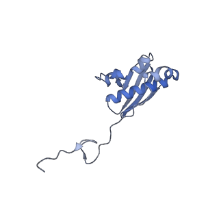 31660_7v2q_I_v1-1
T.thermophilus 30S ribosome with KsgA, class K6