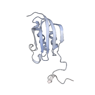 31660_7v2q_K_v1-1
T.thermophilus 30S ribosome with KsgA, class K6