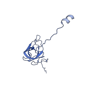 31660_7v2q_L_v1-1
T.thermophilus 30S ribosome with KsgA, class K6