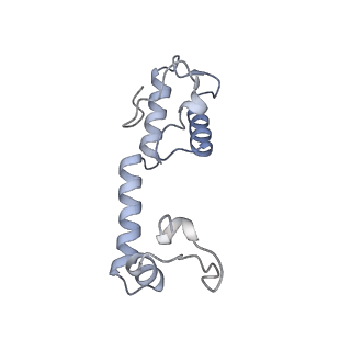31660_7v2q_M_v1-1
T.thermophilus 30S ribosome with KsgA, class K6