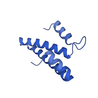31660_7v2q_O_v1-1
T.thermophilus 30S ribosome with KsgA, class K6