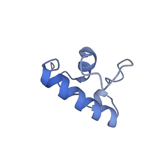 31660_7v2q_R_v1-1
T.thermophilus 30S ribosome with KsgA, class K6