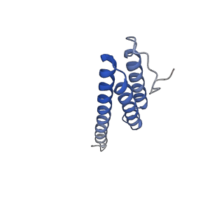 31660_7v2q_T_v1-1
T.thermophilus 30S ribosome with KsgA, class K6