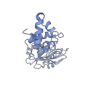 31660_7v2q_U_v1-1
T.thermophilus 30S ribosome with KsgA, class K6