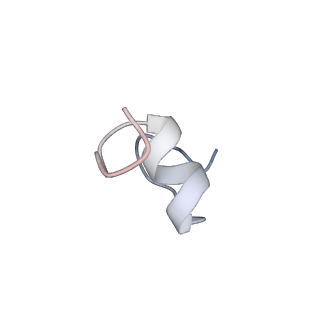 31660_7v2q_V_v1-1
T.thermophilus 30S ribosome with KsgA, class K6