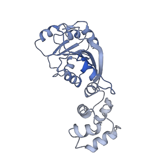31660_7v2q_W_v1-1
T.thermophilus 30S ribosome with KsgA, class K6
